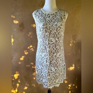 Ann Taylor Loft Cream and Nude Liner Shift Dress Size 6